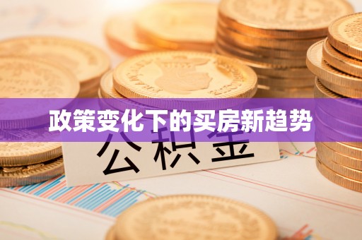 吉木乃政策变化下的买房新趋势