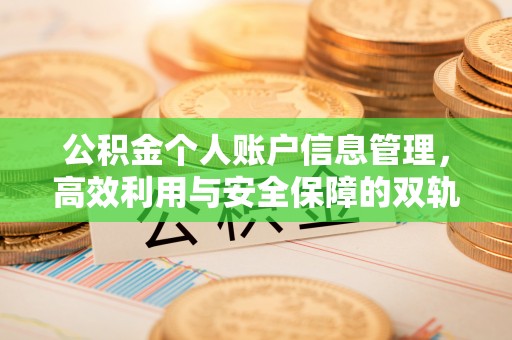 吉木乃公积金个人账户信息管理，高效利用与安全保障的双轨并行