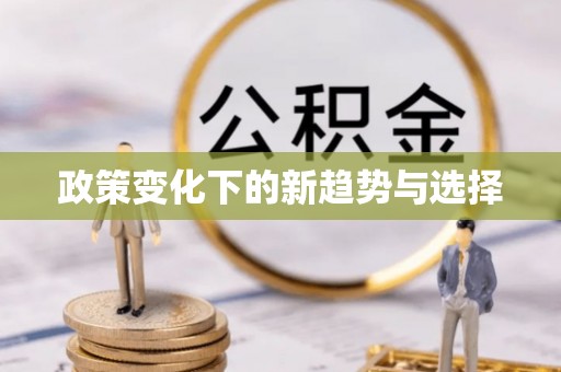 吉木乃政策变化下的新趋势与选择
