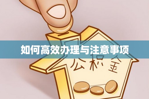 吉木乃如何高效办理与注意事项