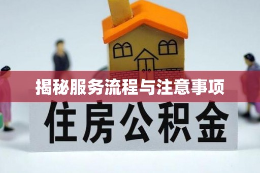 吉木乃揭秘服务流程与注意事项
