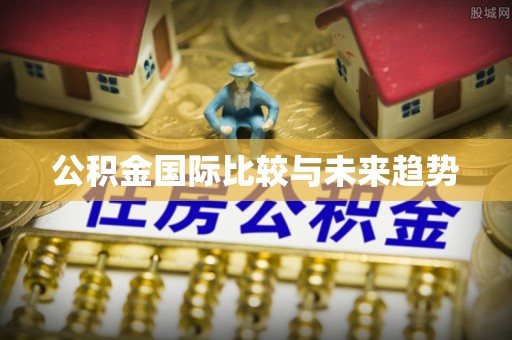 吉木乃公积金国际比较与未来趋势