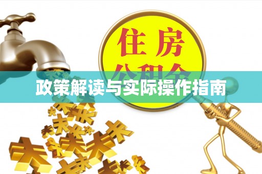 吉木乃政策解读与实际操作指南