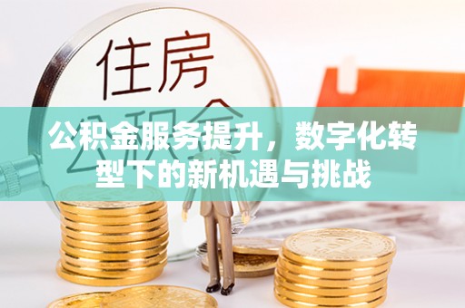 吉木乃公积金服务提升，数字化转型下的新机遇与挑战