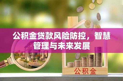 吉木乃公积金贷款风险防控，智慧管理与未来发展