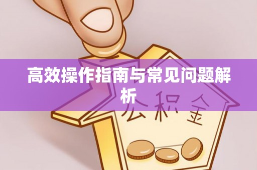 吉木乃高效操作指南与常见问题解析