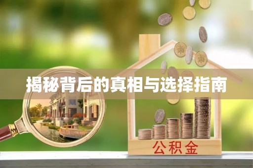 吉木乃揭秘背后的真相与选择指南