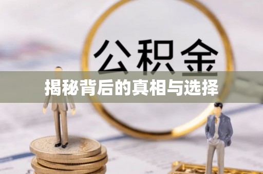 吉木乃揭秘背后的真相与选择