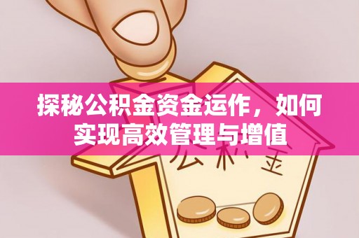 吉木乃探秘公积金资金运作，如何实现高效管理与增值
