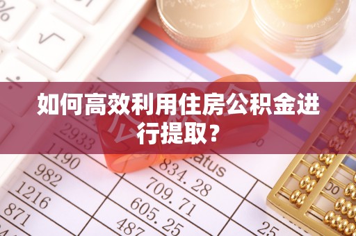 吉木乃如何高效利用住房公积金进行提取？