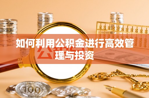 吉木乃如何利用公积金进行高效管理与投资