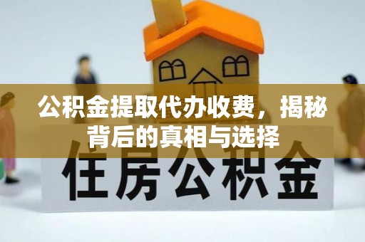 吉木乃公积金提取代办收费，揭秘背后的真相与选择