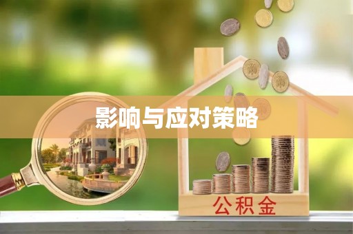吉木乃影响与应对策略