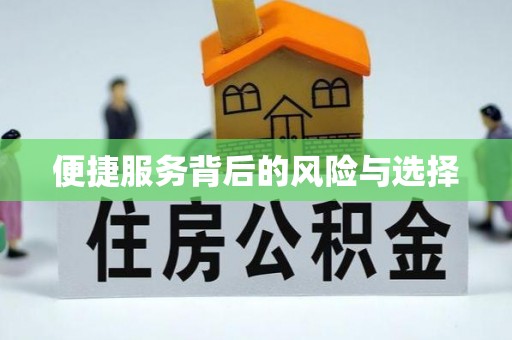 吉木乃便捷服务背后的风险与选择