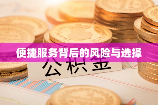 吉木乃便捷服务背后的风险与选择