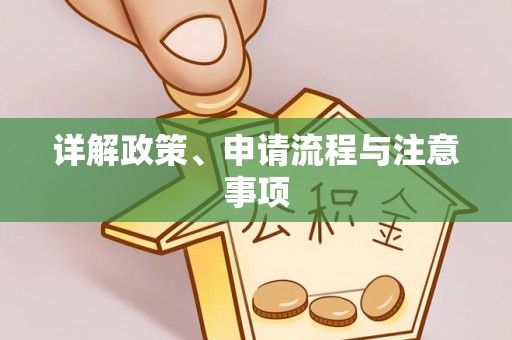 吉木乃详解政策、申请流程与注意事项