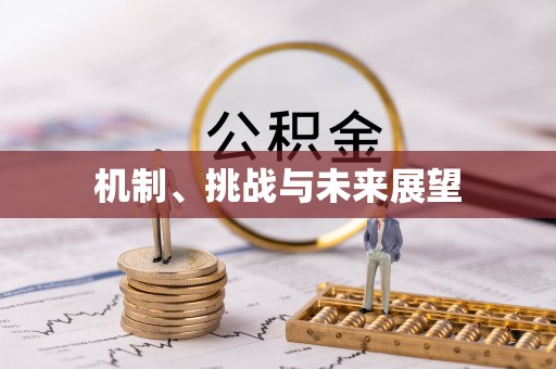 吉木乃机制、挑战与未来展望