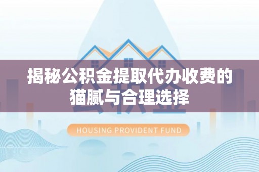 吉木乃揭秘公积金提取代办收费的猫腻与合理选择