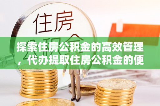 吉木乃探索住房公积金的高效管理，代办提取住房公积金的便利与注意事项