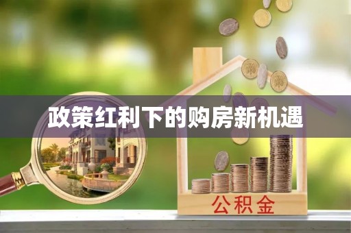 吉木乃政策红利下的购房新机遇