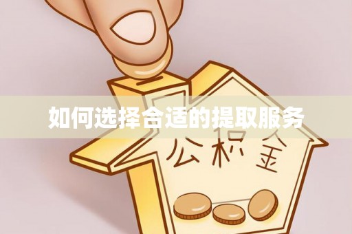 吉木乃如何选择合适的提取服务